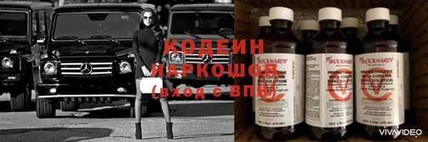 дживик Белокуриха