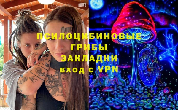 соль ск Богородицк
