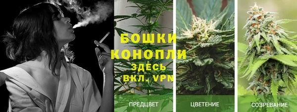 хмурый Богданович