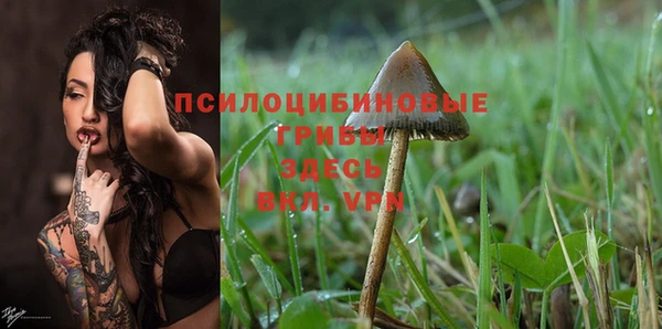 хмурый Богданович