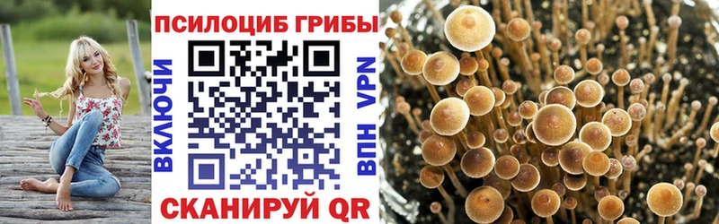 Псилоцибиновые грибы Psilocybe  мега вход  Бугульма  где найти  