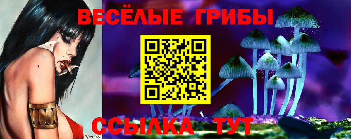 Галлюциногенные грибы Magic Shrooms Бугульма